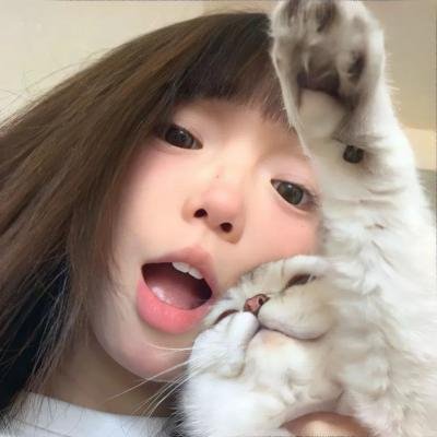 狗狗的疯狂假期